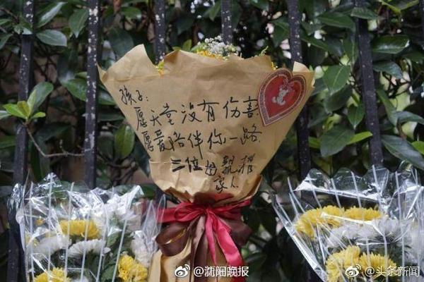 姚易之后最高起点！杨瀚森在16顺位被选中 究竟是运气还是实力？